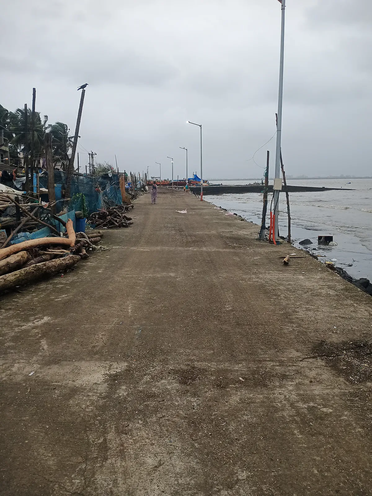 The same shoreline clean after the Eyesea cleanup